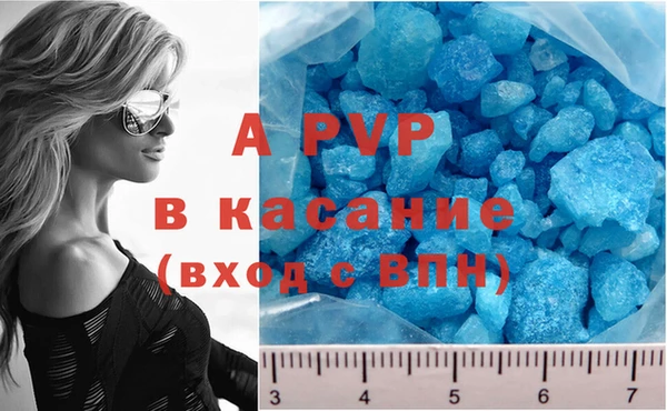 прущие грибы Ахтубинск