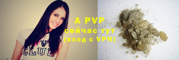 ГАЛЛЮЦИНОГЕННЫЕ ГРИБЫ Надым