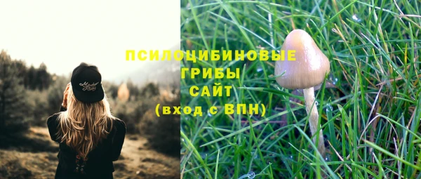 ГАЛЛЮЦИНОГЕННЫЕ ГРИБЫ Надым