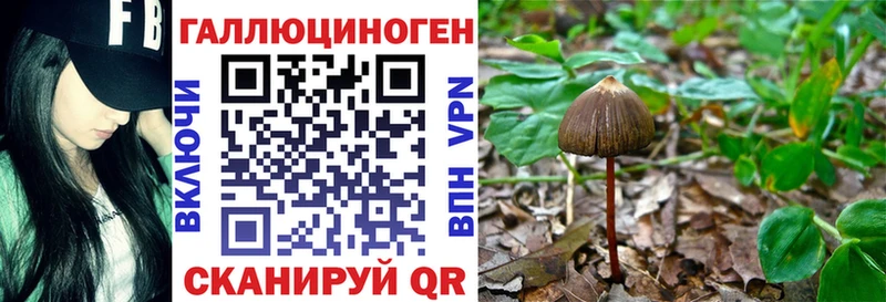 хочу   Семёнов  MEGA ссылка  Галлюциногенные грибы мухоморы 