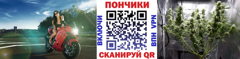 Бошки Шишки гибрид  Семёнов 